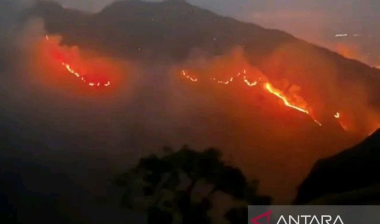 719 Kebakaran Melanda NTB hingga Agustus 2026, Kerugian Capai Rp70,9 Miliar