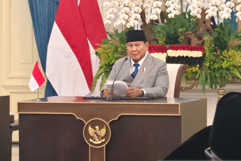 Perluas Akses Pasar dan Investasi, Prabowo-El-Sisi Dorong Pembentukan EPA