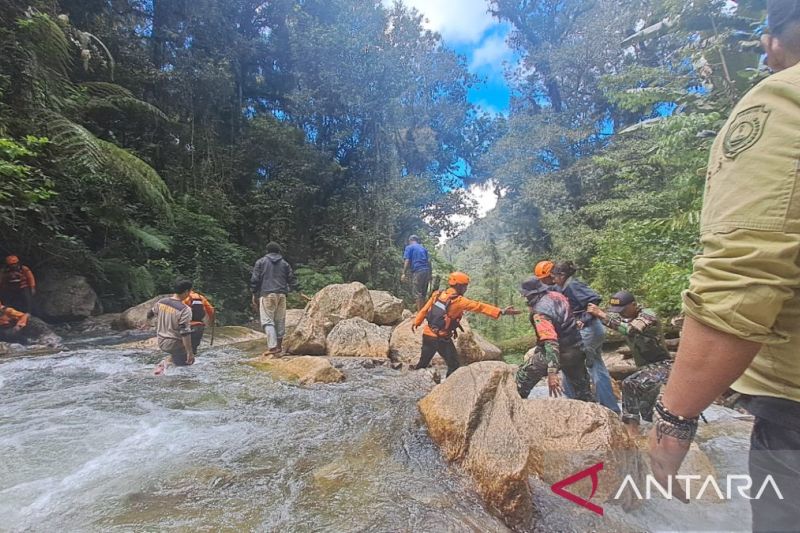 Solution For: Tim SAR Perluas Area Pencarian Presenter TVRI yang Hanyut di Pegunungan Arfak