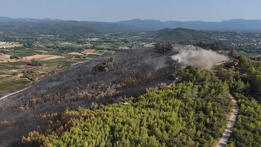 Kebakaran Hutan di Prancis dan Spanyol Meluas, 300.000 Warga Mengungsi