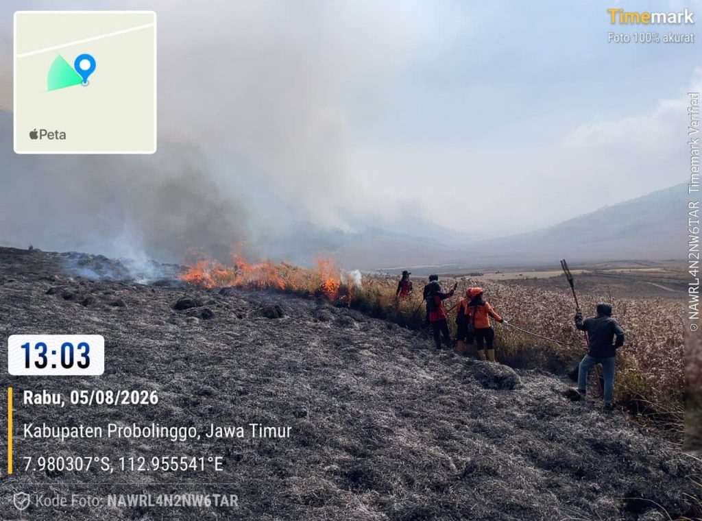 BNPB: Kebakaran Hutan Gunung Bromo Hanguskan 60 Hektare Lahan