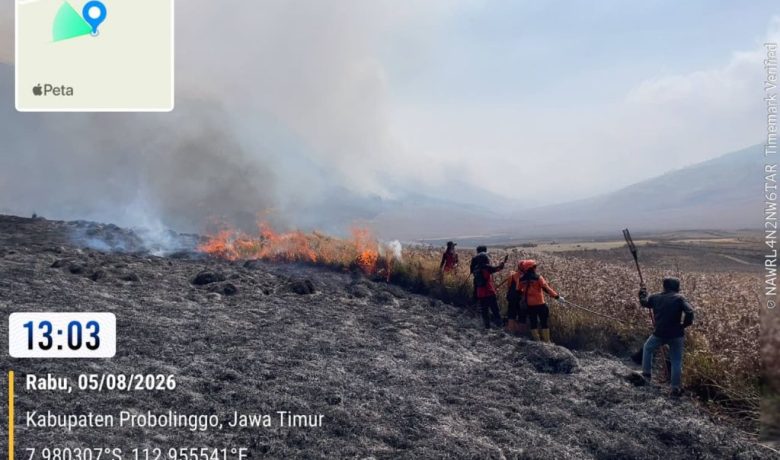 BNPB: Kebakaran Hutan Gunung Bromo Hanguskan 60 Hektare Lahan