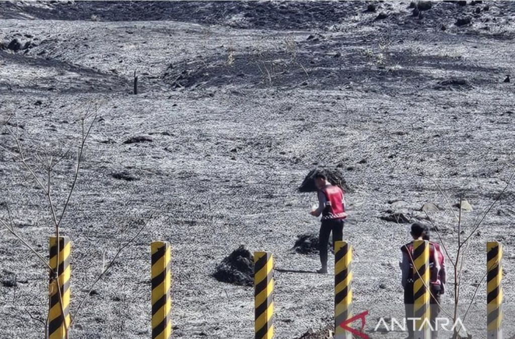 Angin Kencang Picu Kebakaran Bromo Meluas Jadi 520 Hektare
