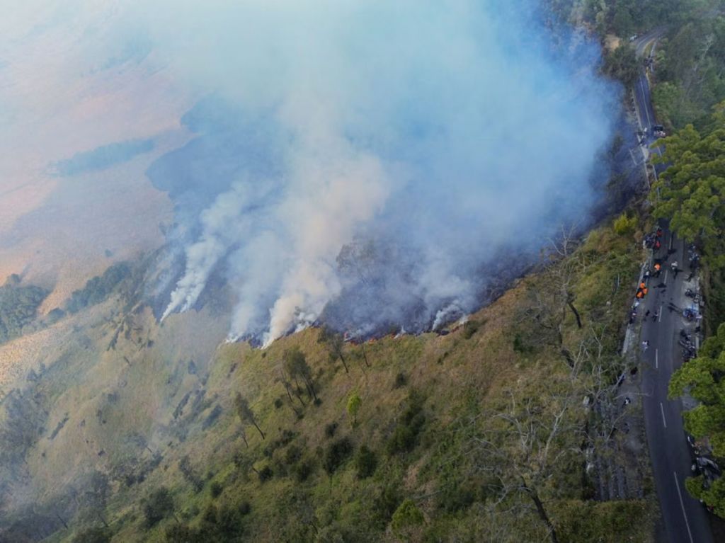 Makin Meluas, Kebakaran Gunung Bromo Capai 742 Hektare