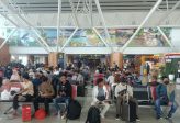 Penerbangan Jakarta-Pontianak Dialihkan ke Batam Imbas Kabut Asap
