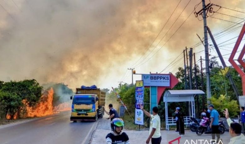 Karhutla Merembet ke Kawasan Sekolah Rakyat Terpadu 9 Banjarbaru
