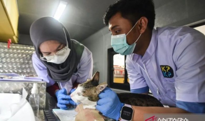 Mobil Klinik Hewan Keliling Hadir di 5 Wilayah Jakarta, Cek Jadwalnya