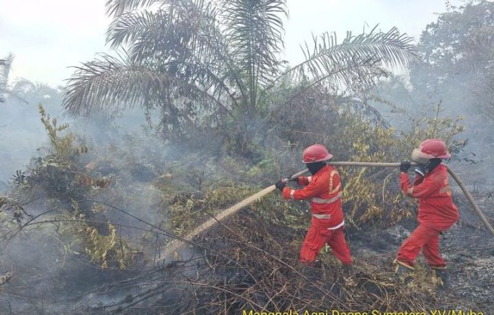 Kemenhut Sanksi Administratif 6 Perusahaan Akibat Karhutla